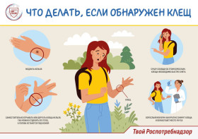 Что делать, если укусил клещ: пошаговая инструкция.